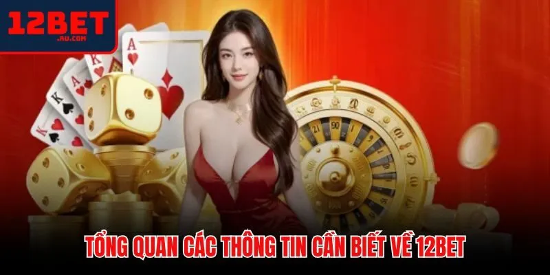 Thông tin cơ bản về mô hình hoạt động của 12BET